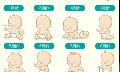10个月婴儿可以吃豆腐吗-十个月宝宝可以吃豆豉网十个月宝宝可以吃豆豉酱吗知识网站,分享10个月婴儿能吃豆浆吗大全
